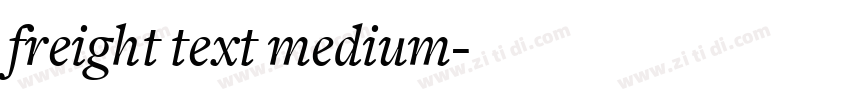 freight text medium字体转换 freight text medium字体转换